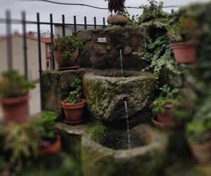 Property grounds - Aguas del Venero (Losar de la Vera)