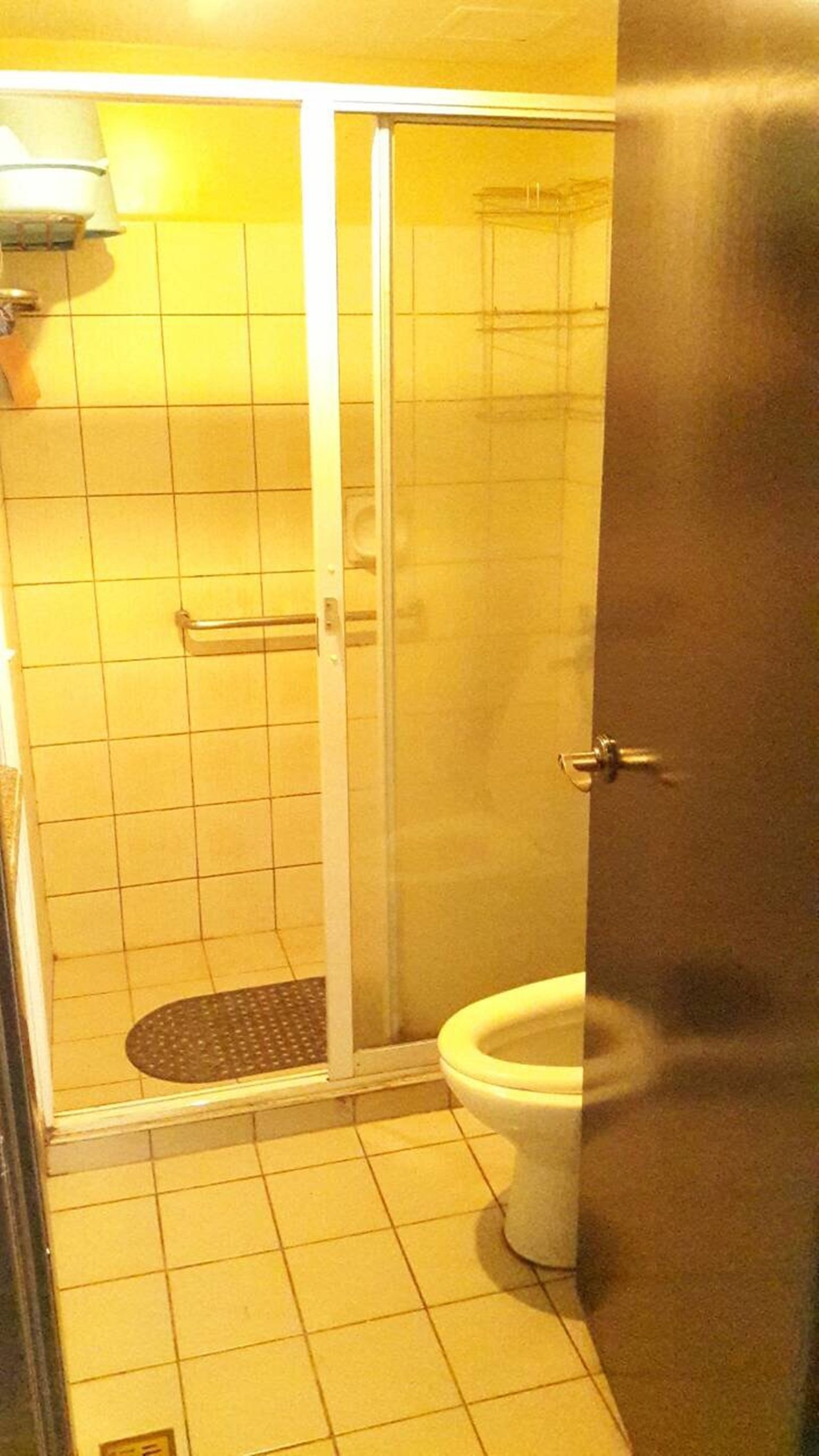 A bathroom with a glass shower enclosure, a toilet, and a towel rack.
