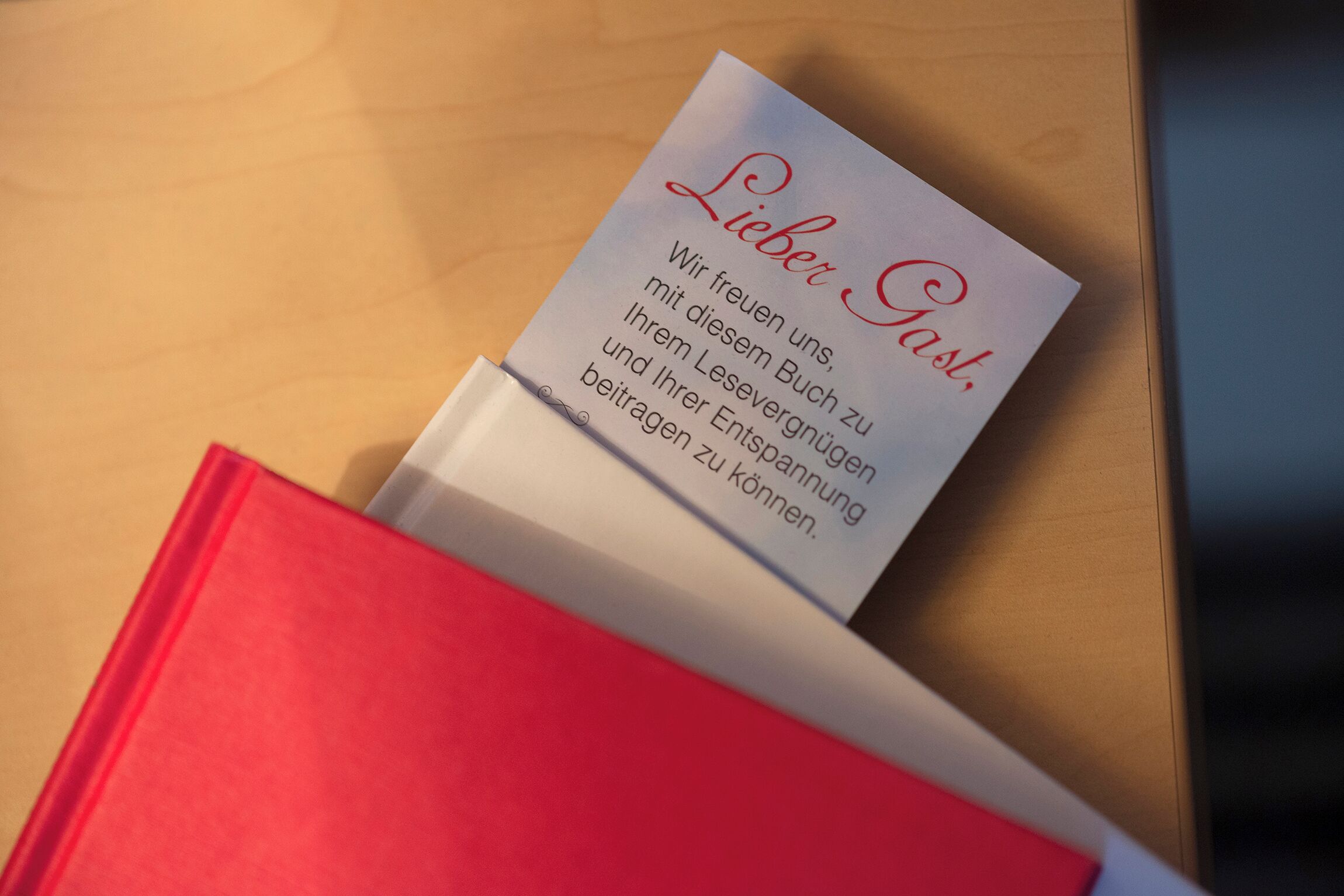 single room | minibar, desk, iron/ironing board, free wifi