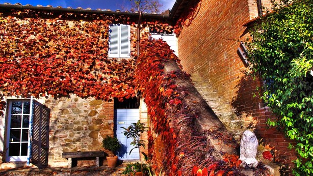A stone building with a brick wall partially covered in red foliage, a bench, and a potted plant. - Agriturismo Fattoria Santa Vittoria (Foiano della Chiana)