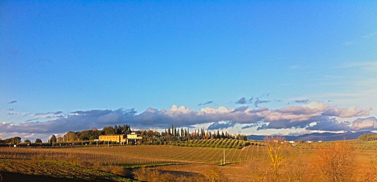 A vineyard landscape with a building and distant mountains.