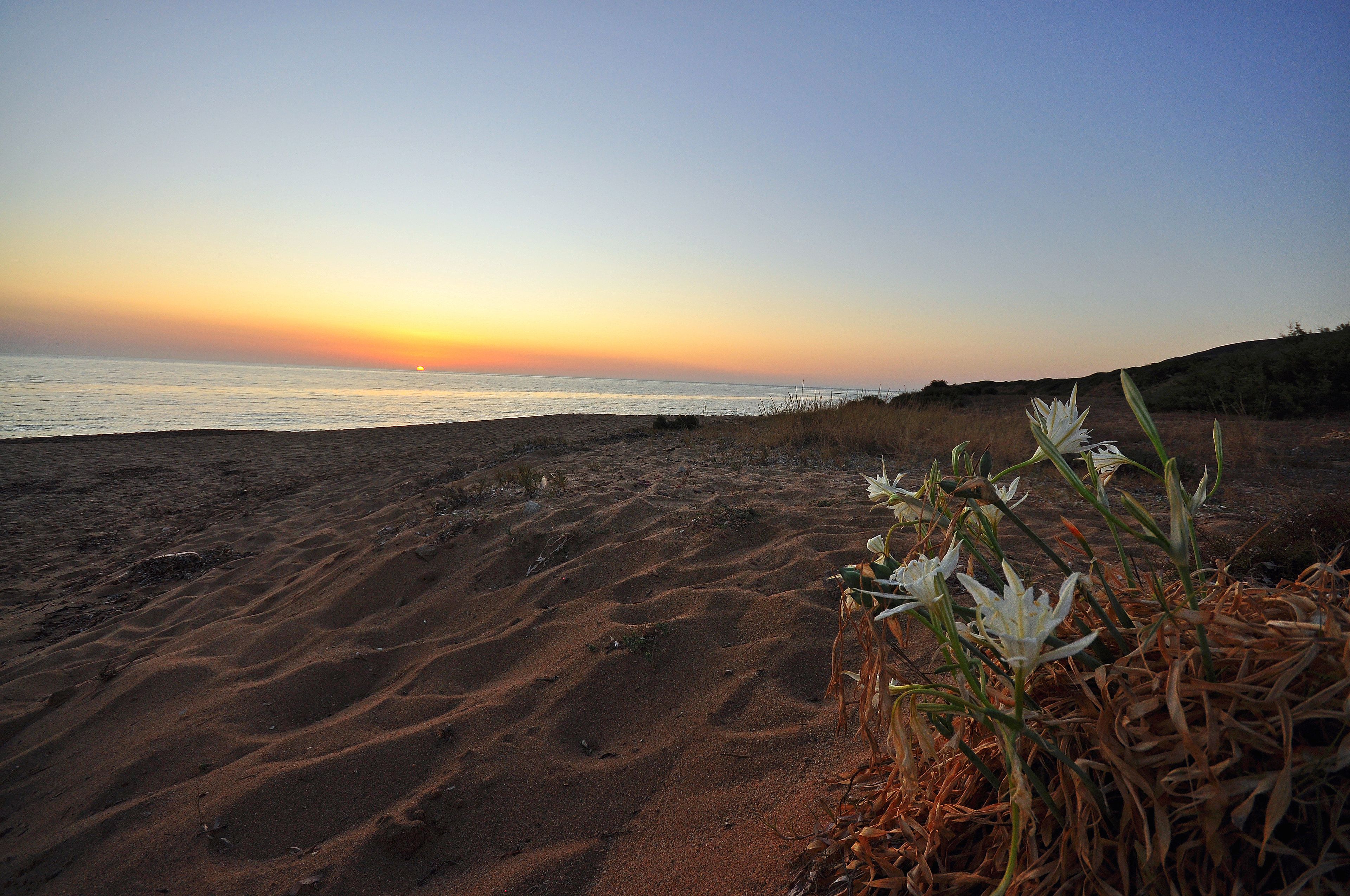Photo - Hotel Corsaro Nero