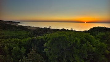 Un paisaje costero con un atardecer sobre el mar, vegetación densa en primer plano y un cielo despejado.