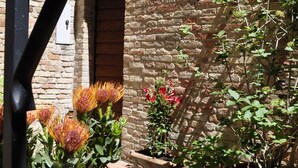 A courtyard with a brick wall, a small pool, and potted plants. - B&B Albornoz (Urbino)