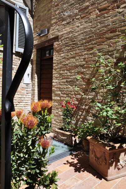 B&B Albornoz