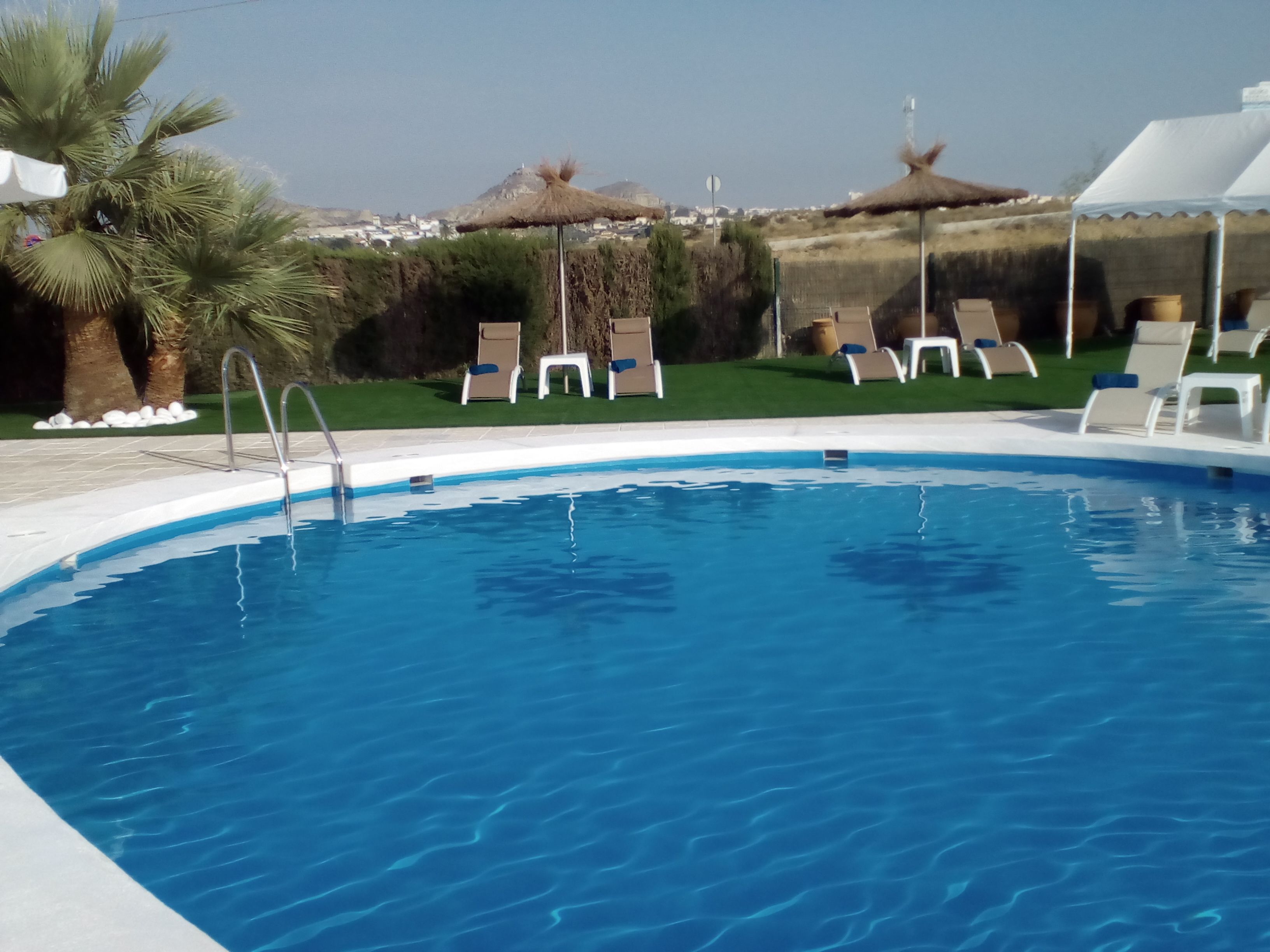 seasonal outdoor pool, pool umbrellas, pool loungers