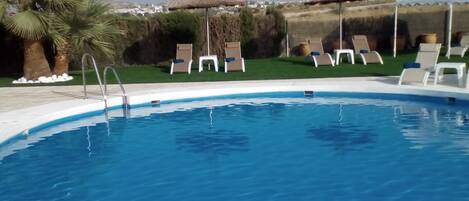 A swimming pool with lounge chairs and a palm tree.