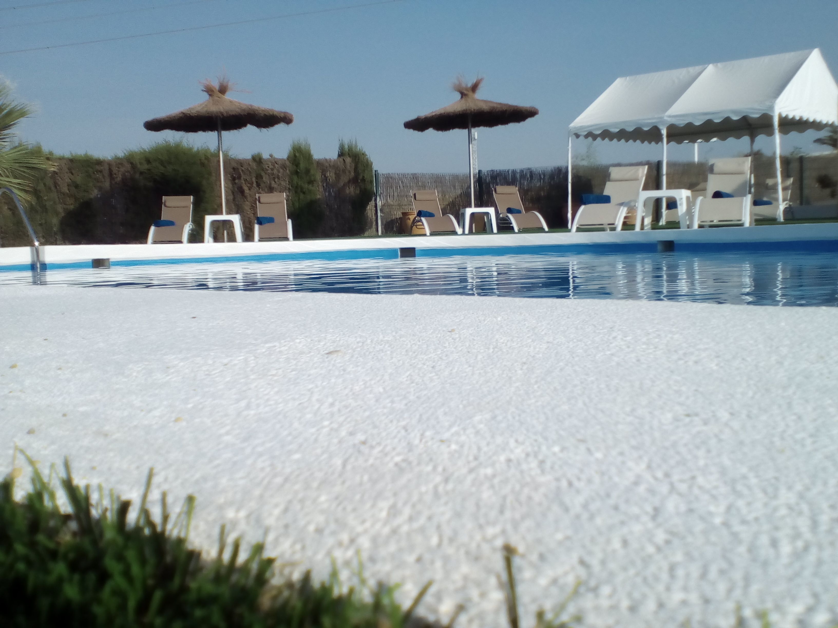 季節性室外泳池；泳池傘、躺椅