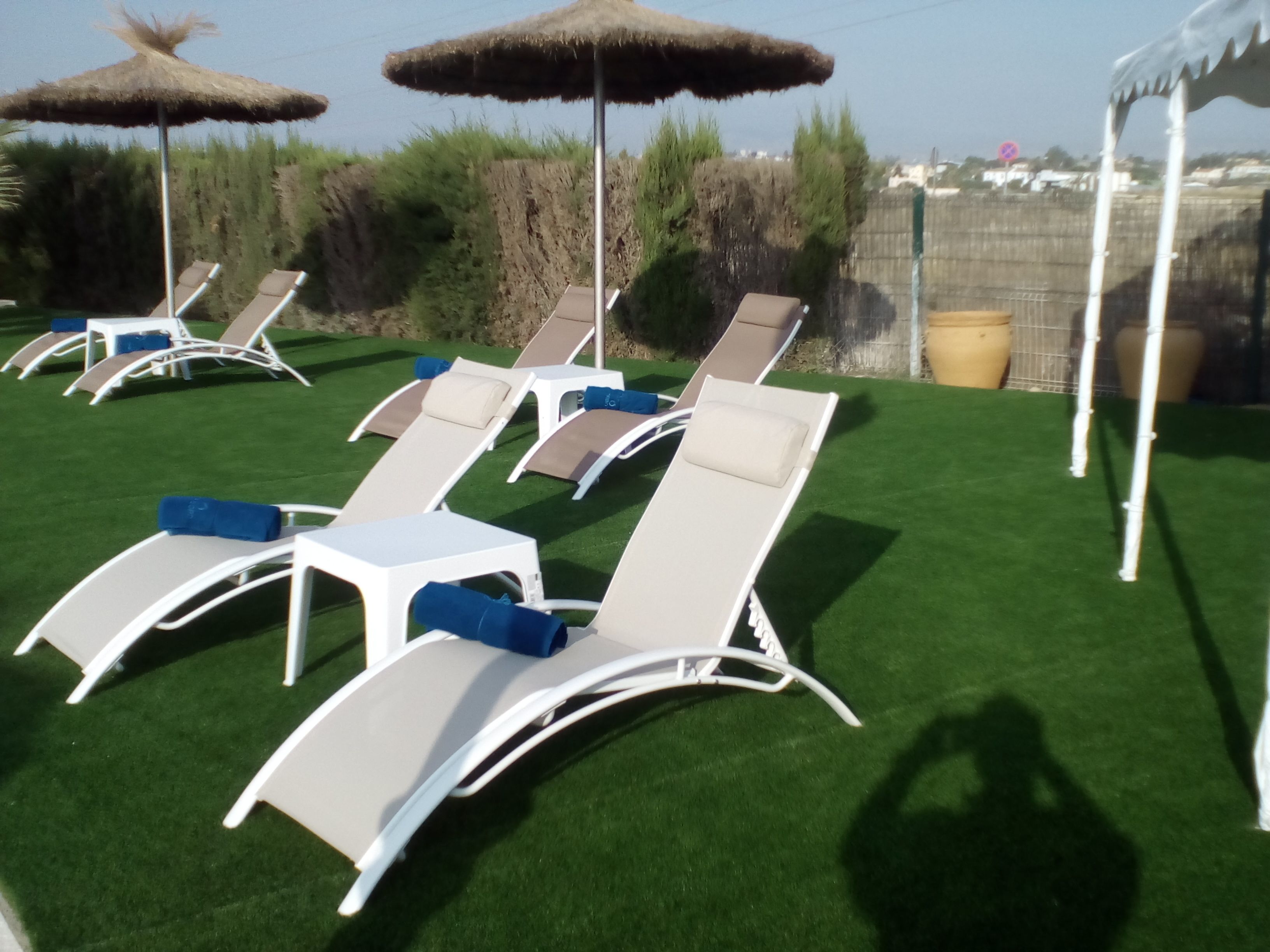 A row of white sun loungers with blue cushions on artificial grass, under thatched umbrellas, with a view of a fence and vegetation in the background.