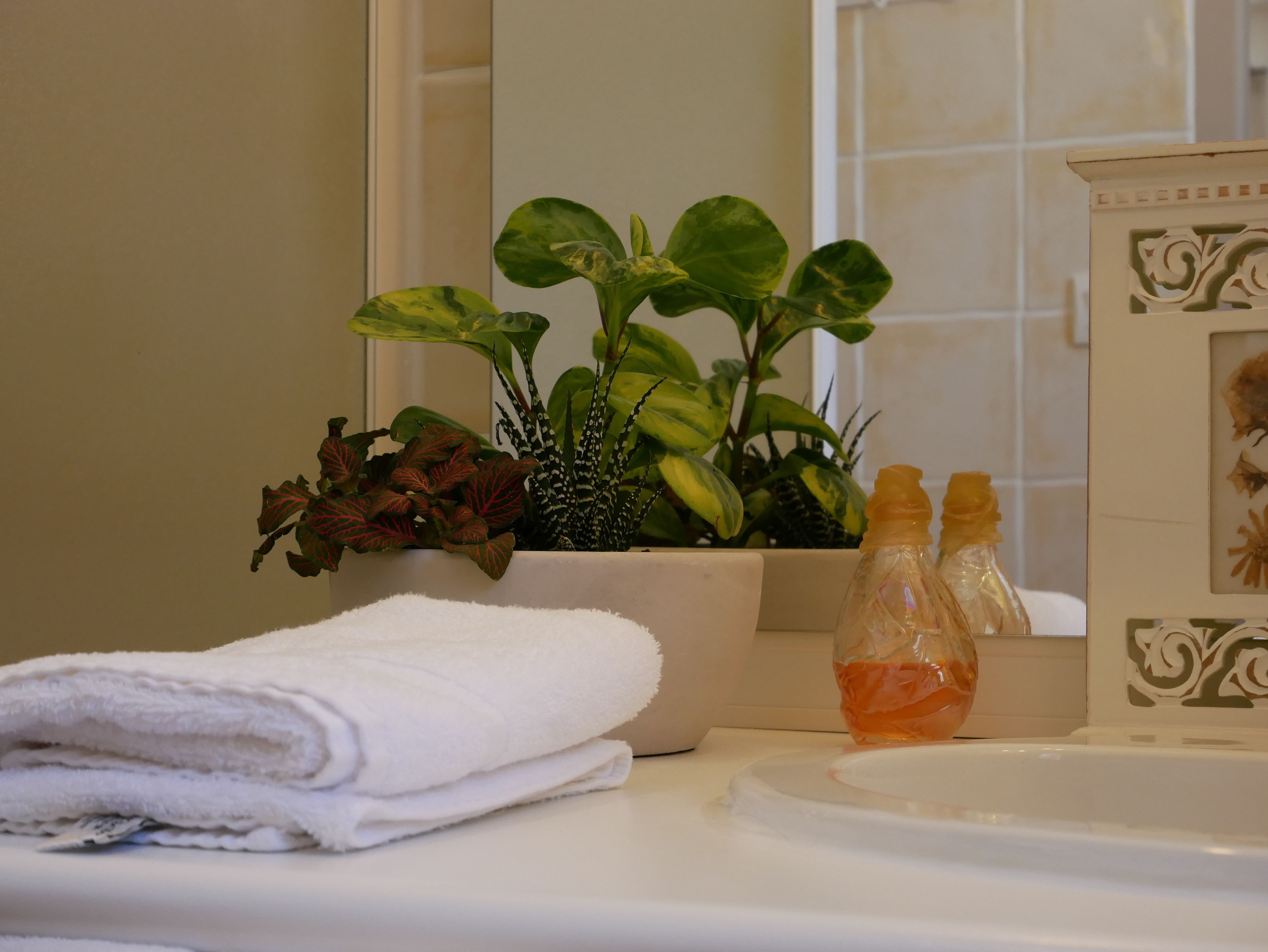 triple room | bathroom | shower, free toiletries, hair dryer, towels