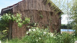 Un edificio rústico con techo de paja, rodeado de follaje y una cerca de alambre.