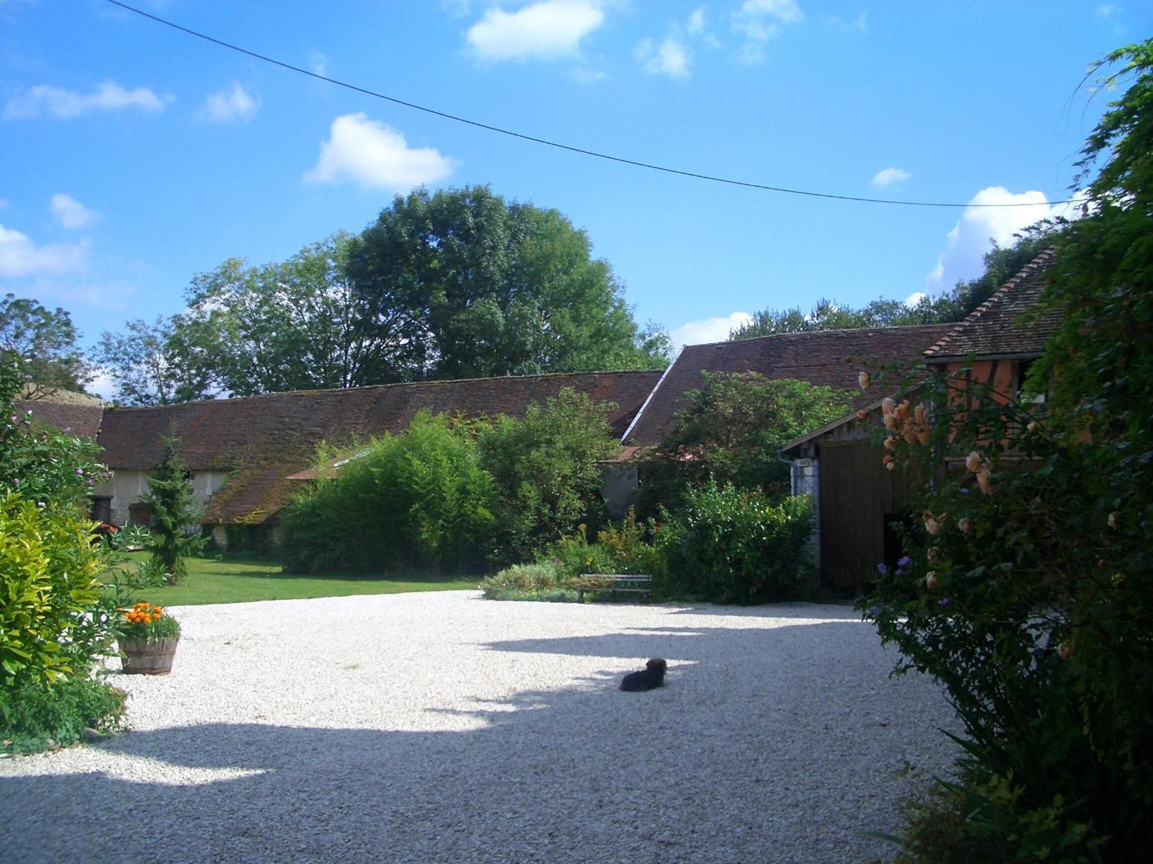 A gravel driveway leading to a building with a sloped roof, surrounded by greenery and trees.