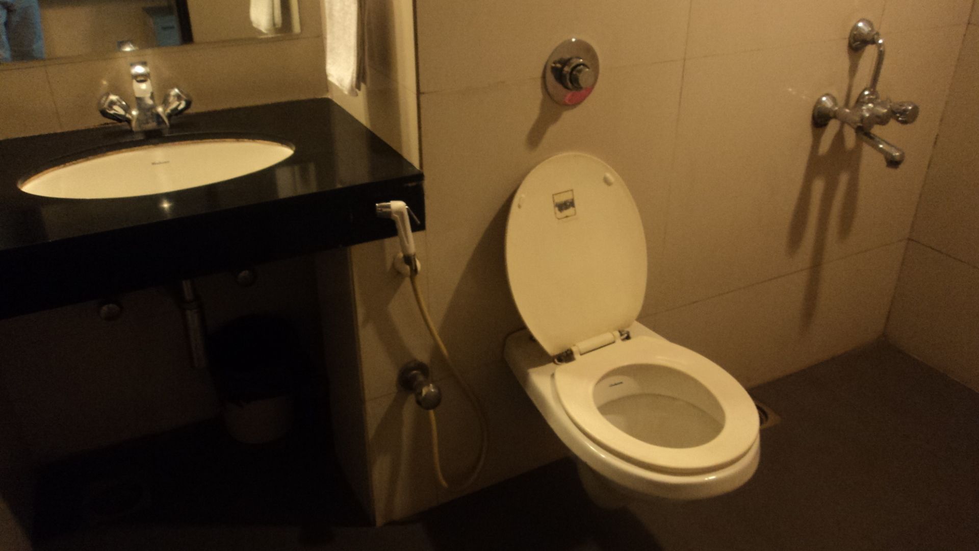 A bathroom with a white toilet, a black sink, and a mirror above the sink.