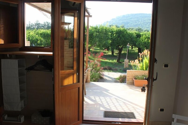 Land view from property