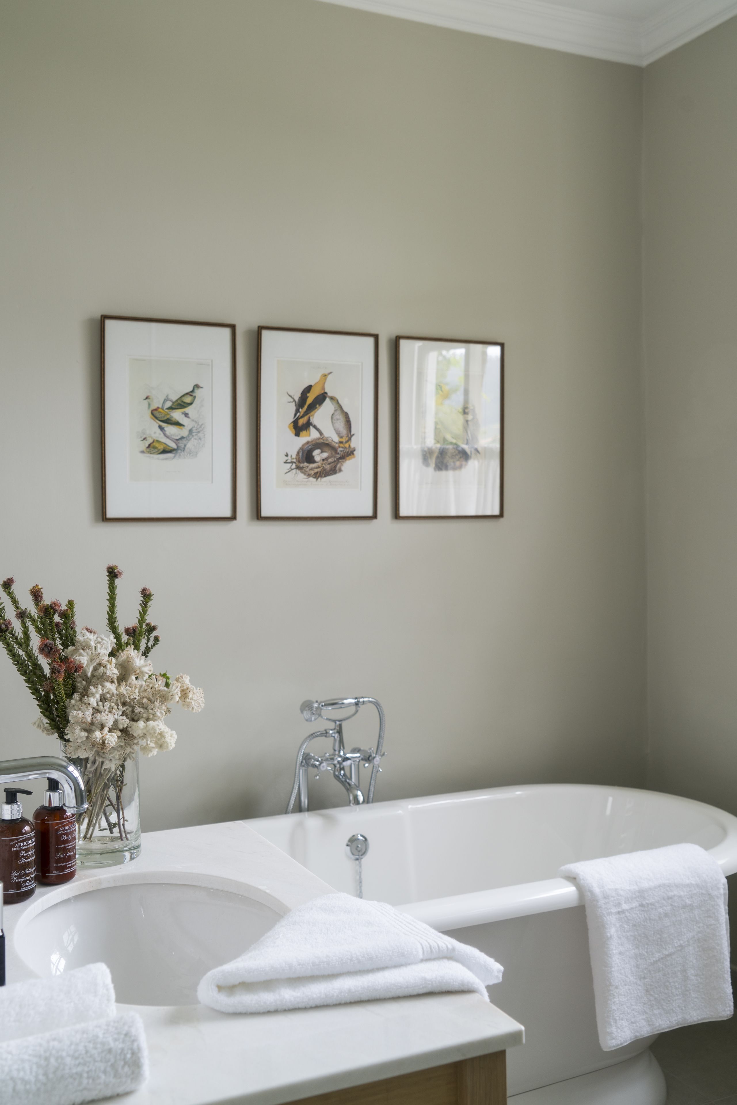 Foto - Cape Vue Country House