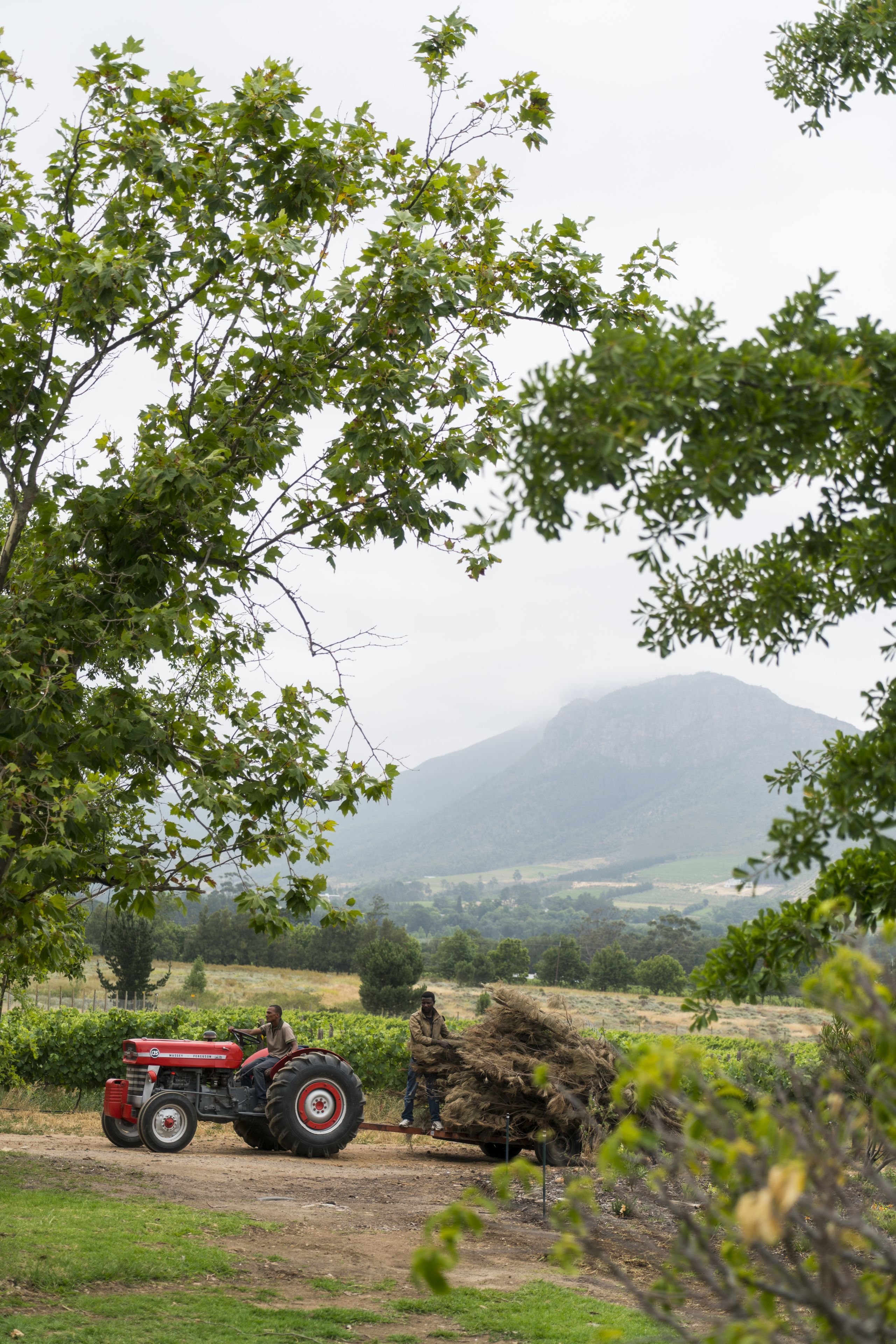 Foto - Cape Vue Country House