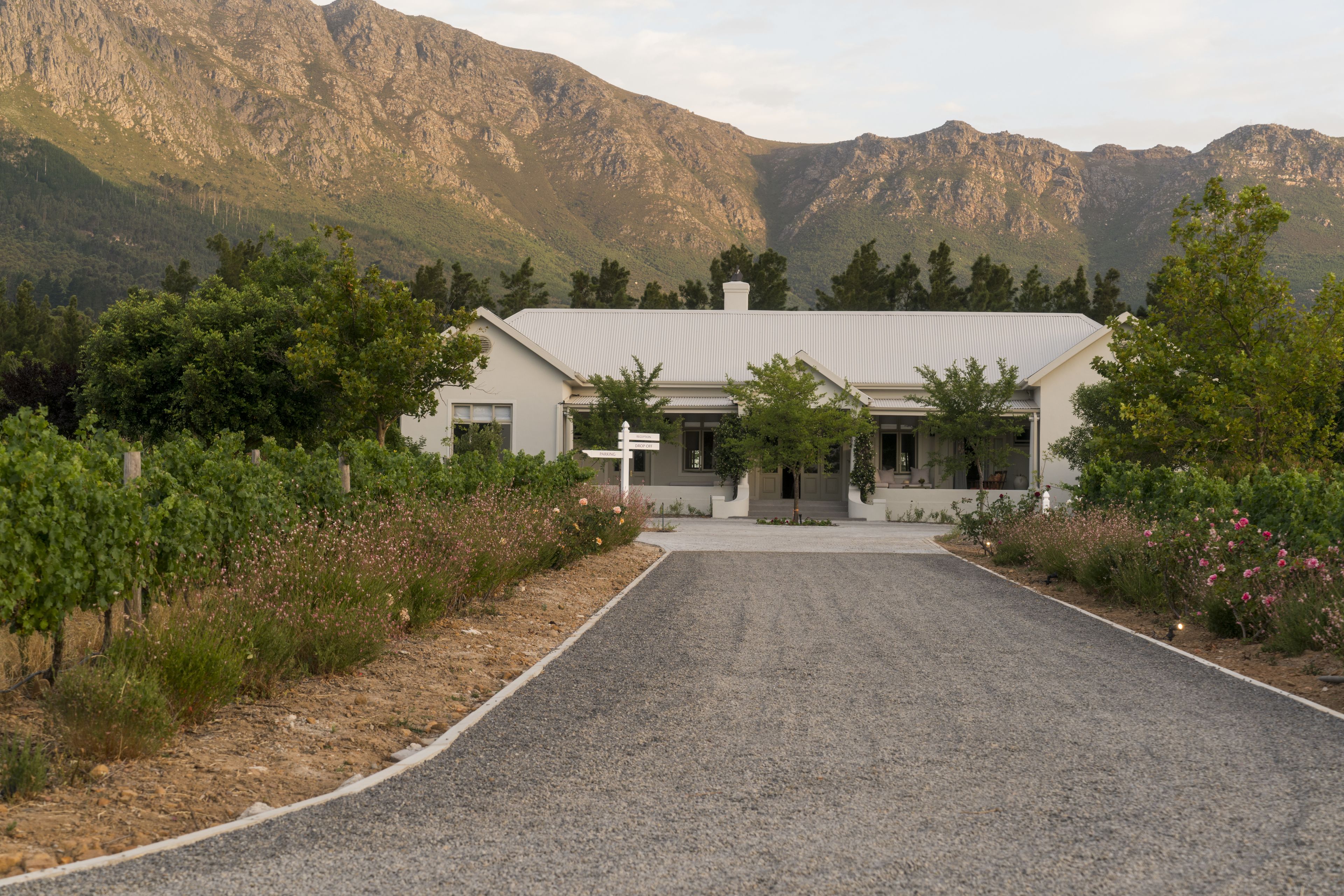 Foto - Cape Vue Country House