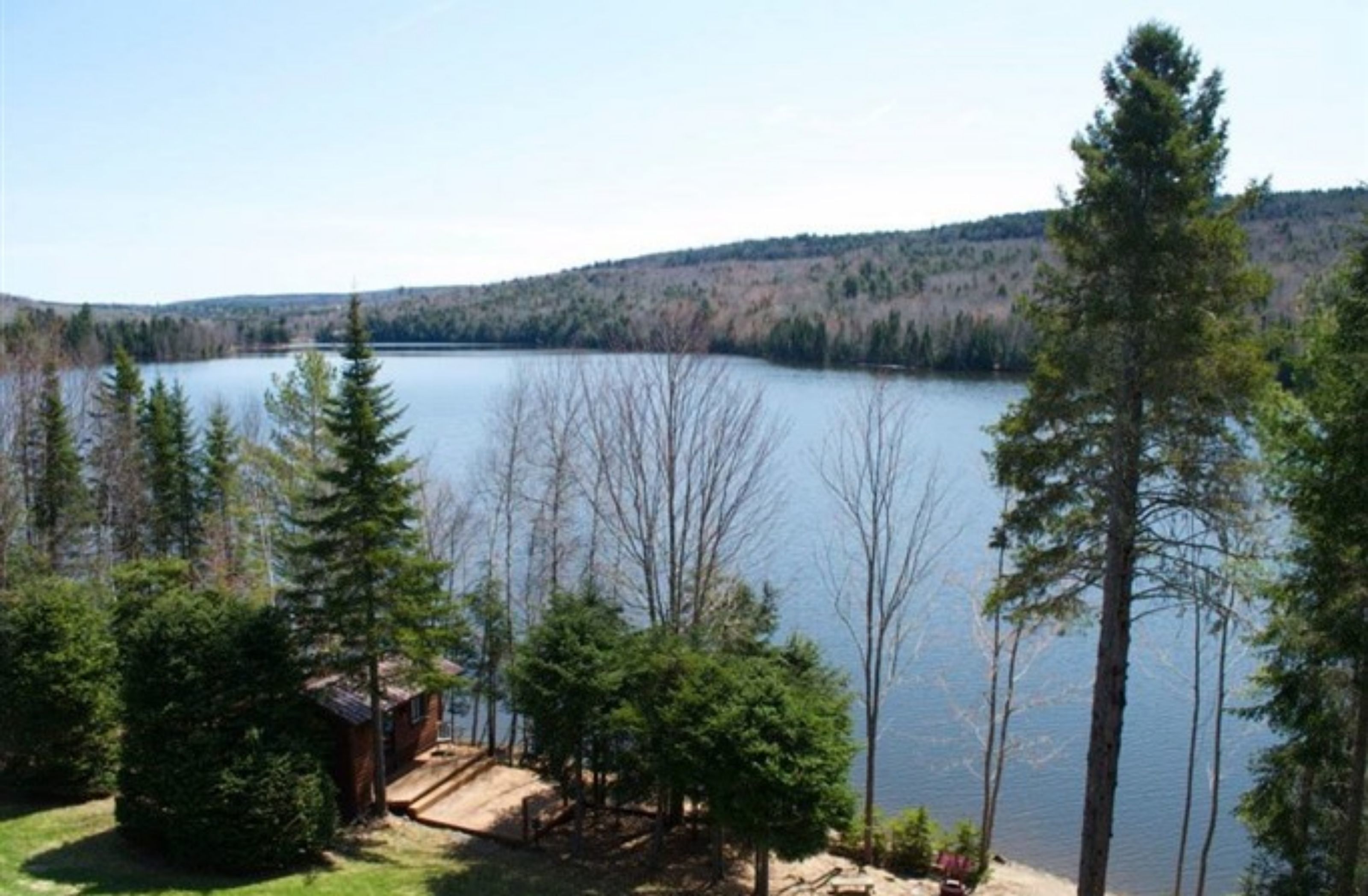 A cabin surrounded by trees and a lake.