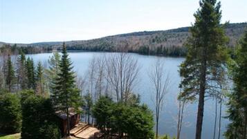 A cabin surrounded by trees and a lake.