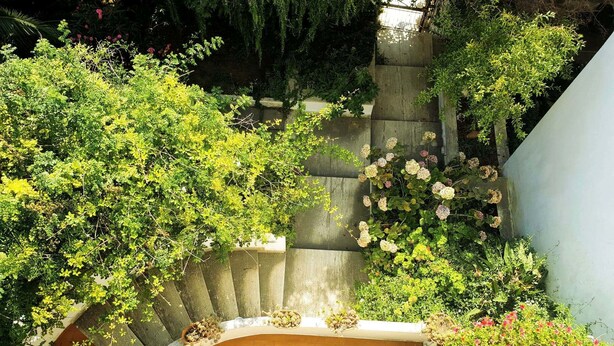 A garden with a variety of plants and flowers, a concrete staircase, and a brick wall. - Il Giardino di Villa Anna (Trecase)