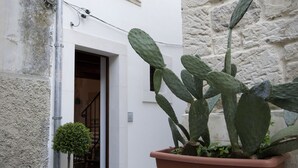 A narrow alleyway with a large cactus plant in a terracotta pot, a small potted tree, and a building entrance with a window and door. - La Casa di Matilde (Ragusa)