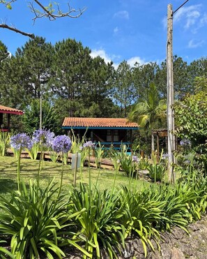 Minibar, wi-fi och sängkläder