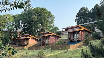 Minibar, WiFi, bed sheets