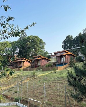 Minibar, WiFi, bed sheets