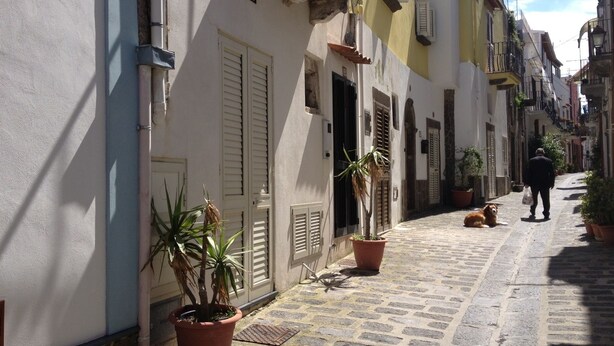 A narrow cobblestone street lined with traditional buildings, featuring potted plants and a dog lying on the ground. - Ambra (Lipari)
