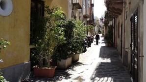 A narrow cobblestone street lined with buildings, potted plants, and a person walking away from the camera. - Ambra (Lipari)