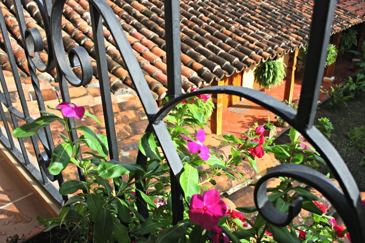 Quang cảnh nhìn từ nơi lưu trú