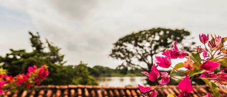 A tiled roof with pink flowers in the foreground.