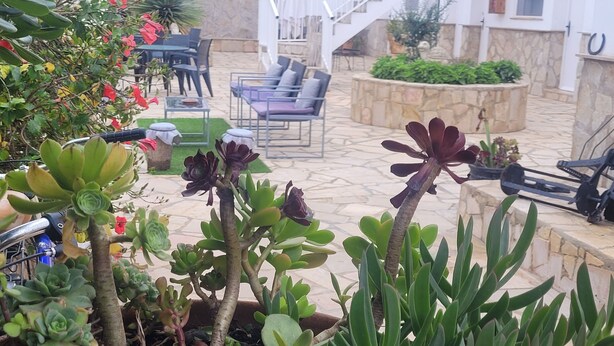A patio area with outdoor furniture, a staircase, and various plants. - La Llar de Laura (Amposta)