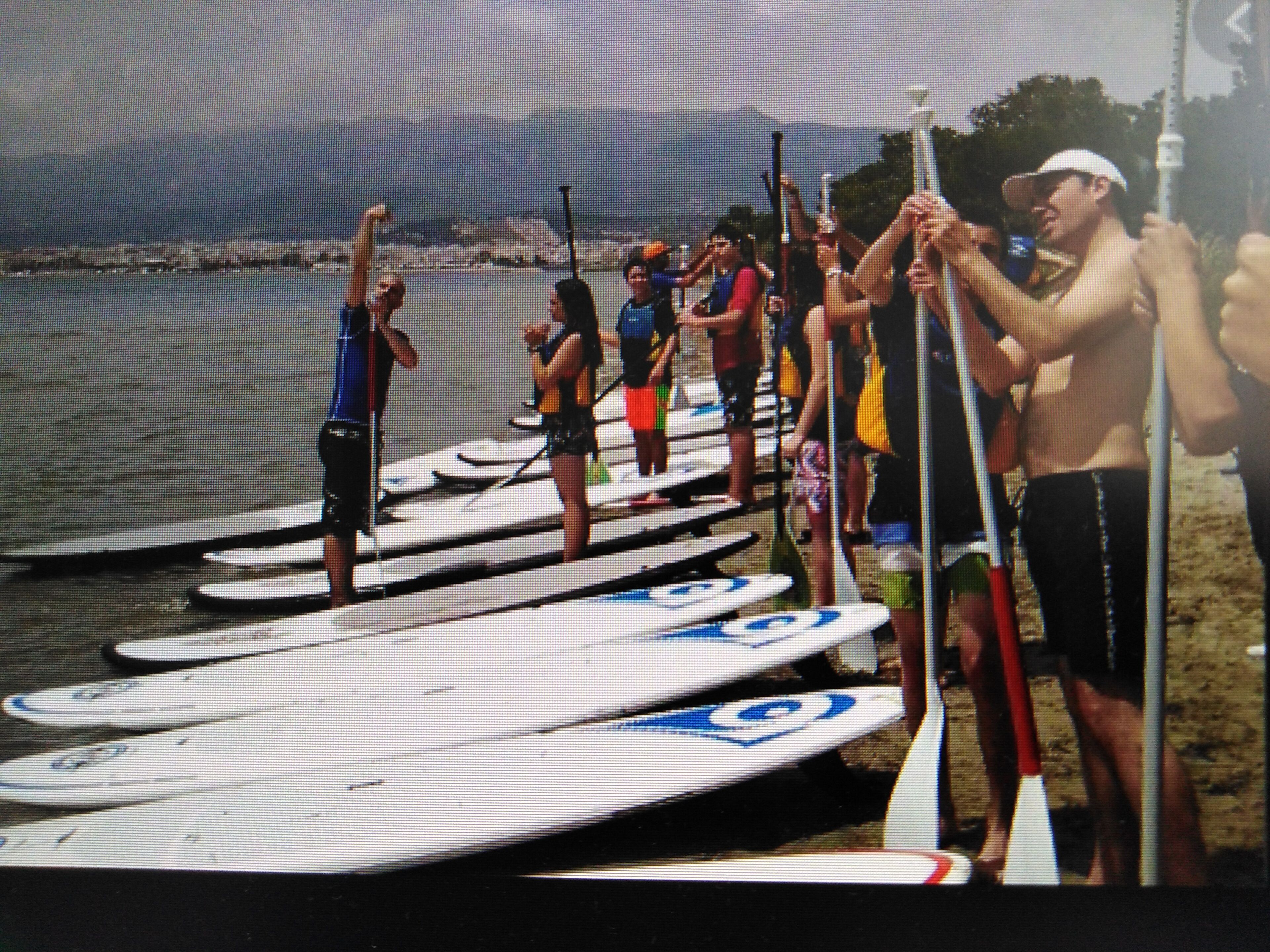 A group of people standing on paddleboards by a body of water.
