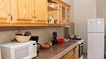 Full-sized fridge, microwave, oven, stovetop