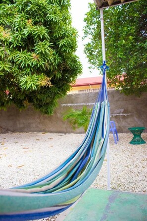 Property grounds - Eventuality Bed and Breakfast (Kingston)