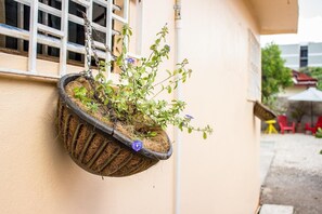 Exterior - Eventuality Bed and Breakfast (Kingston)