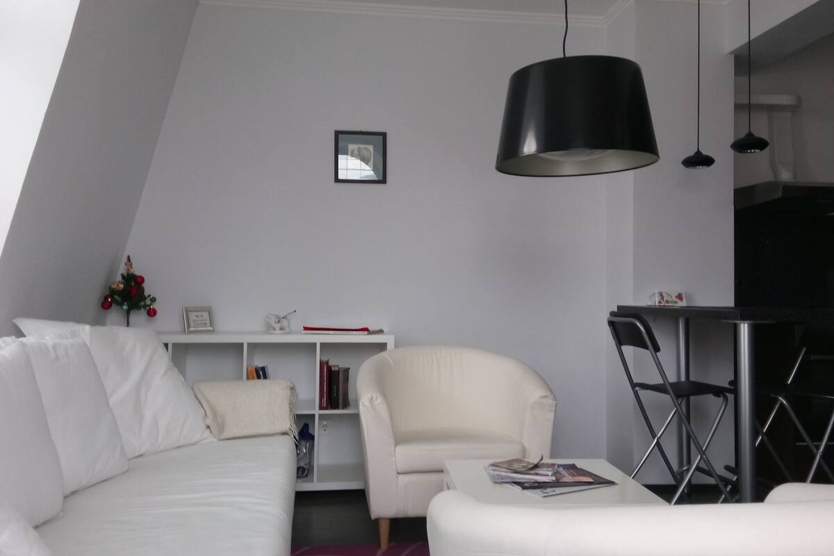 City-Apartment, 1 Queen-Bett und Schlafsofa | Wohnzimmer