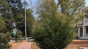 Un chemin pavé de briques traverse un quartier résidentiel, bordé d’arbres, avec une maison en arrière-plan.