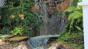 A small waterfall cascading over rocks into a stream, surrounded by lush greenery and a wooden planter with flowers. - Book Nook Inn (Lumberton)