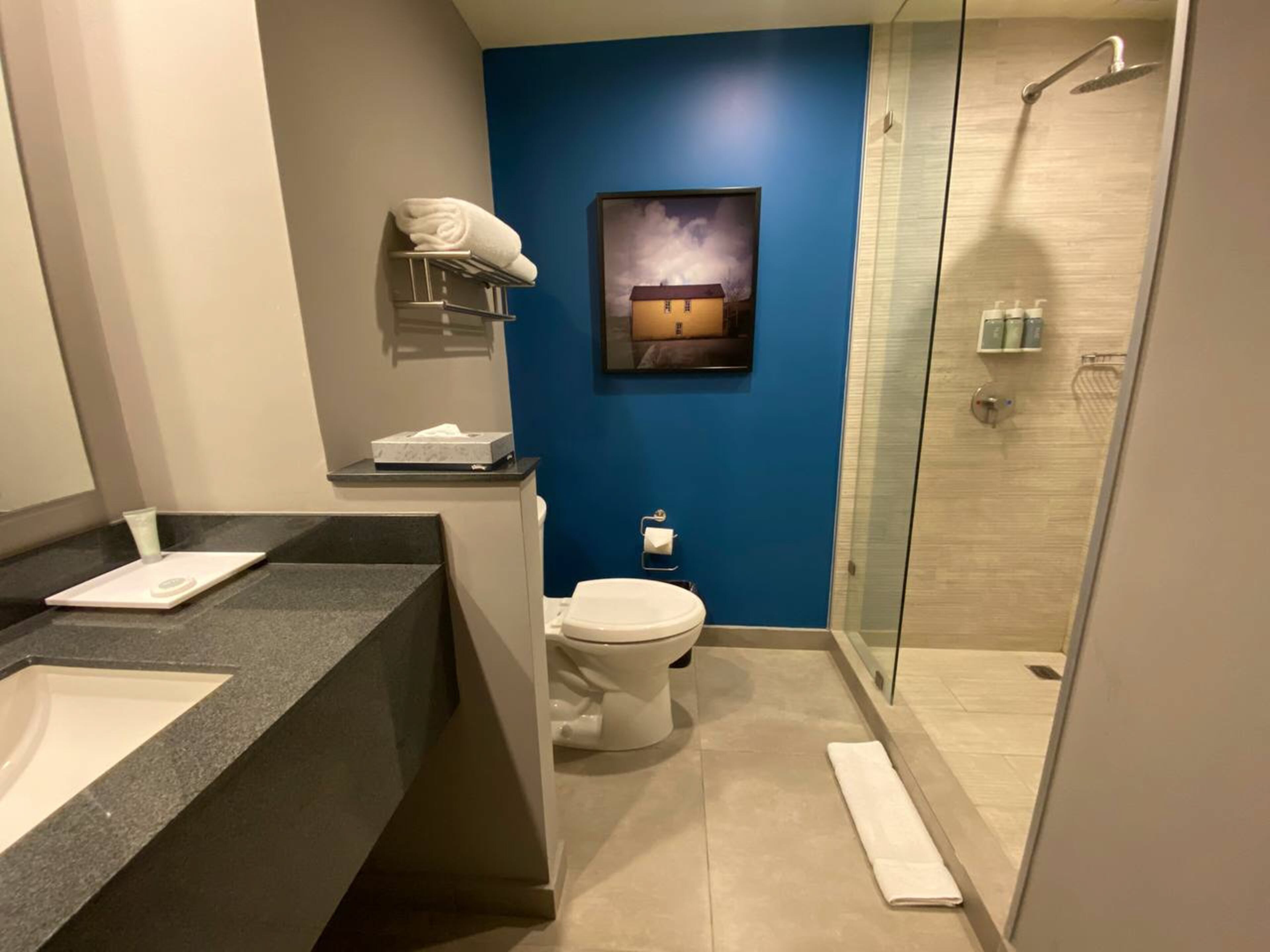 suite, 1 king bed, non smoking | bathroom | free toiletries, hair dryer, towels