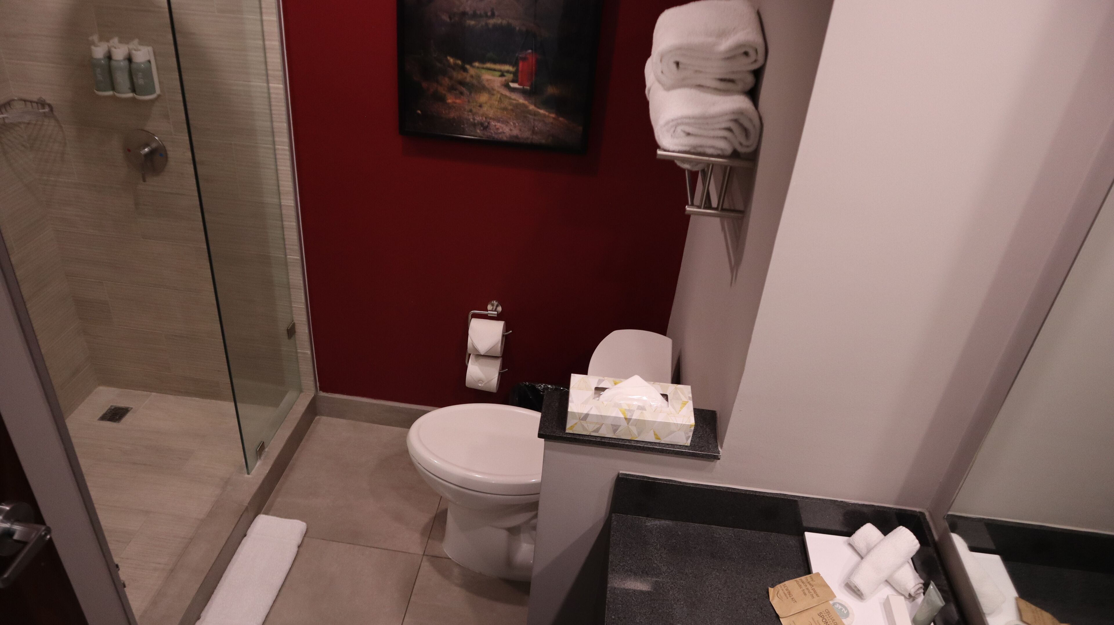 A bathroom with a glass shower enclosure, a toilet, a sink with a towel rack, and a painting on the wall.