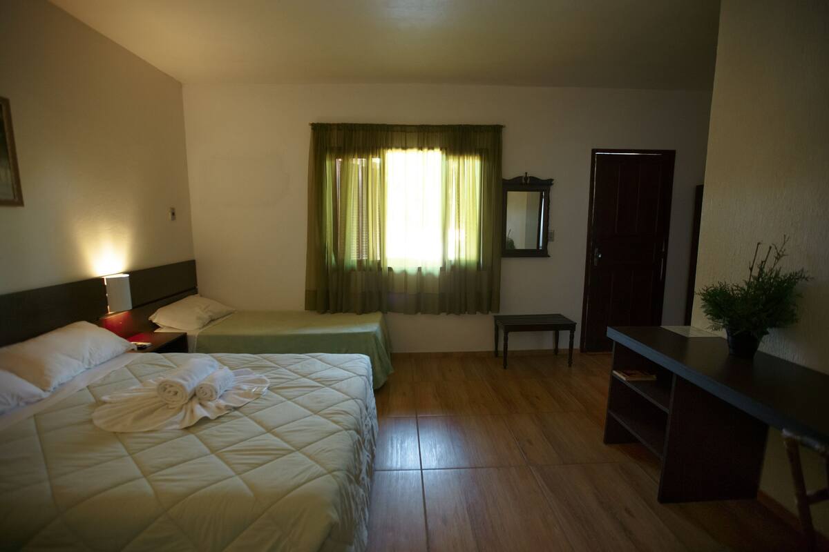 A hotel room with two single beds, a desk, a chair, a small table, a mirror, and a potted plant.
