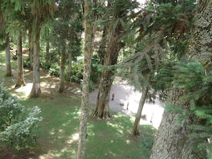 Standard Chalet | Iron/ironing board, free WiFi, bed sheets