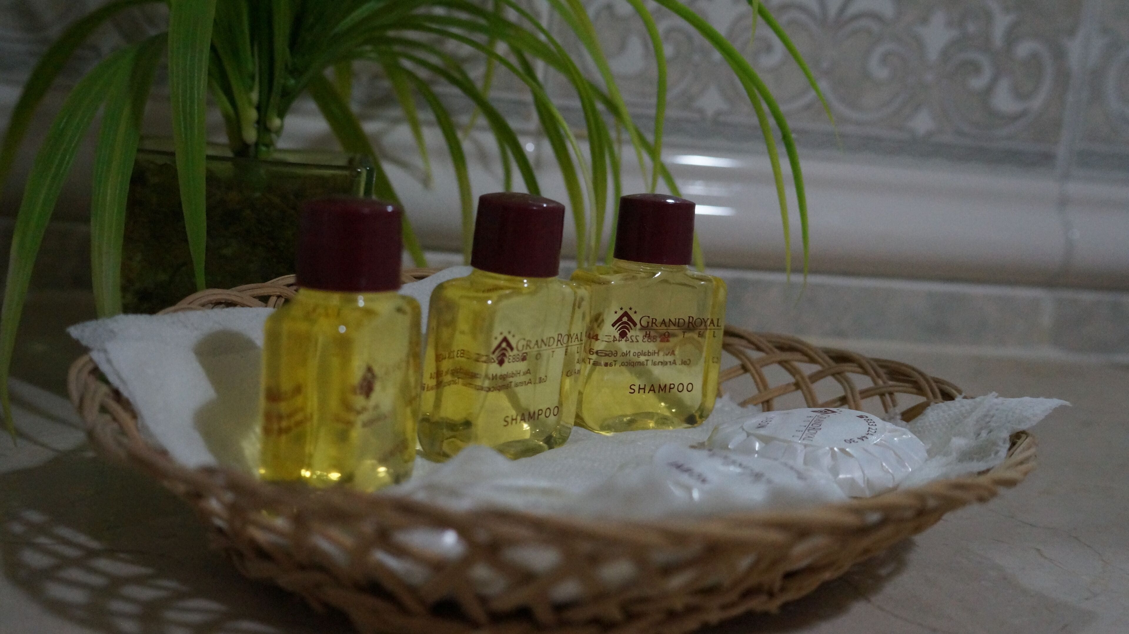 Foto - Grand Royal Tampico