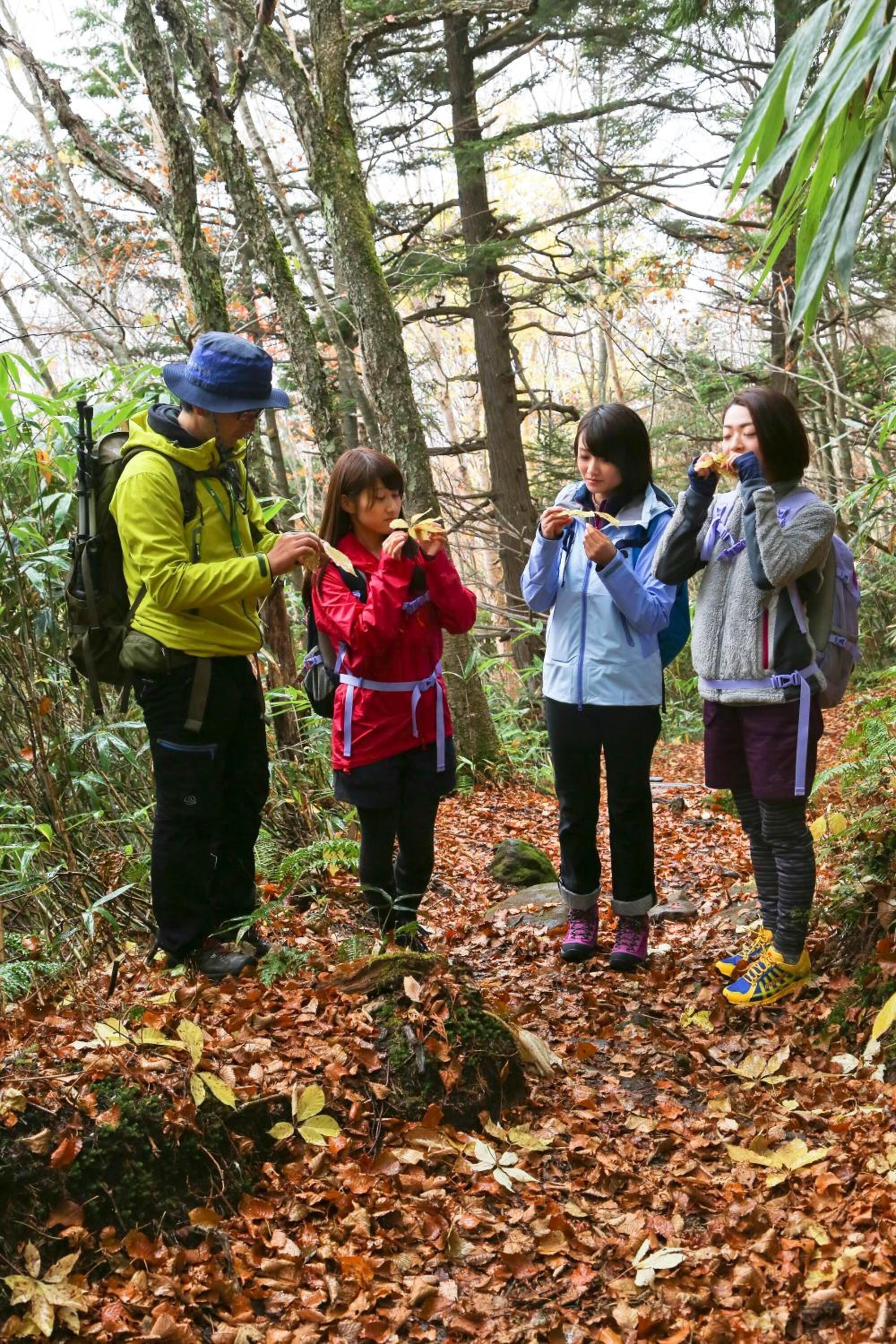 Four people hiking in a forested area with a backpacked individual leading.