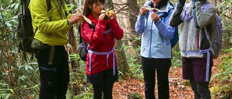 Four people hiking in a forested area with a backpacked individual leading.