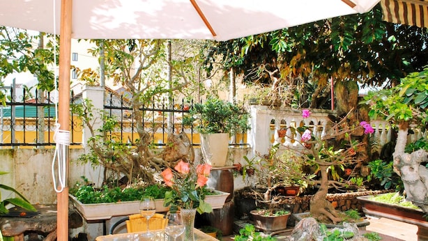 Terrace/patio - Golden Leaf Homestay (Da Nang)