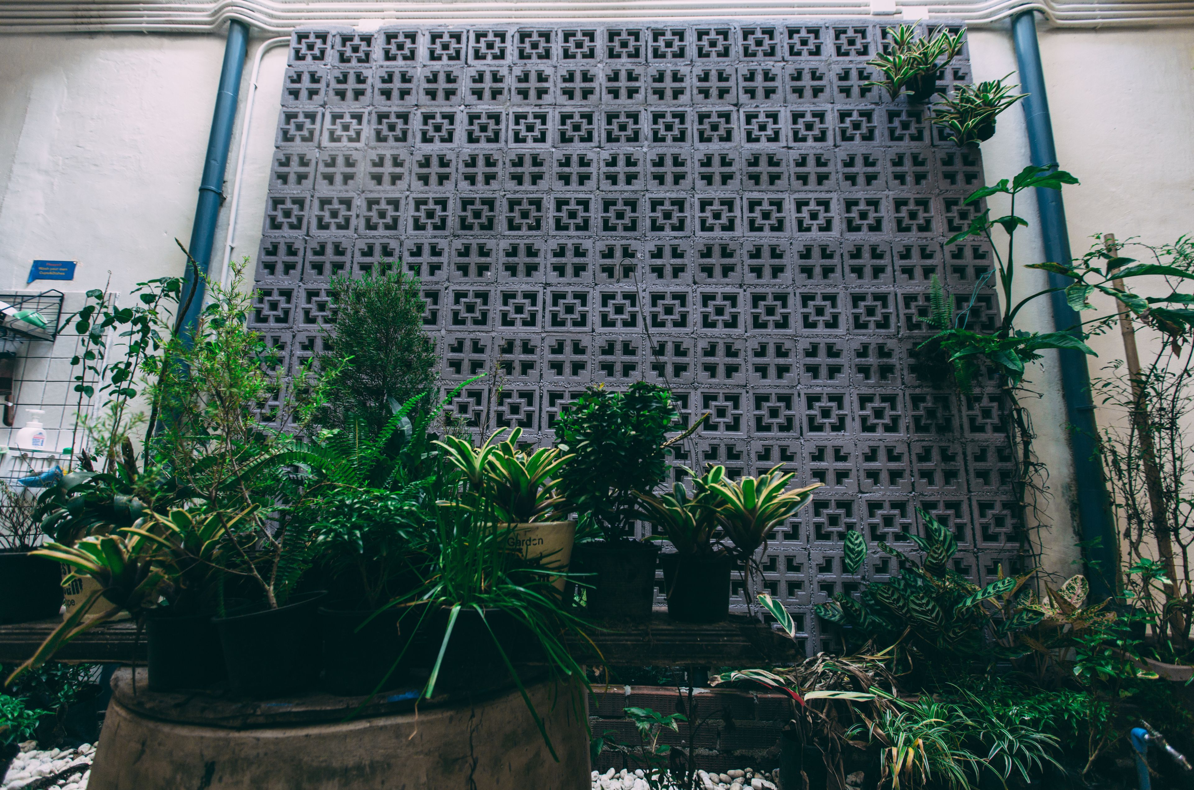 Foto - Aekkeko hostel