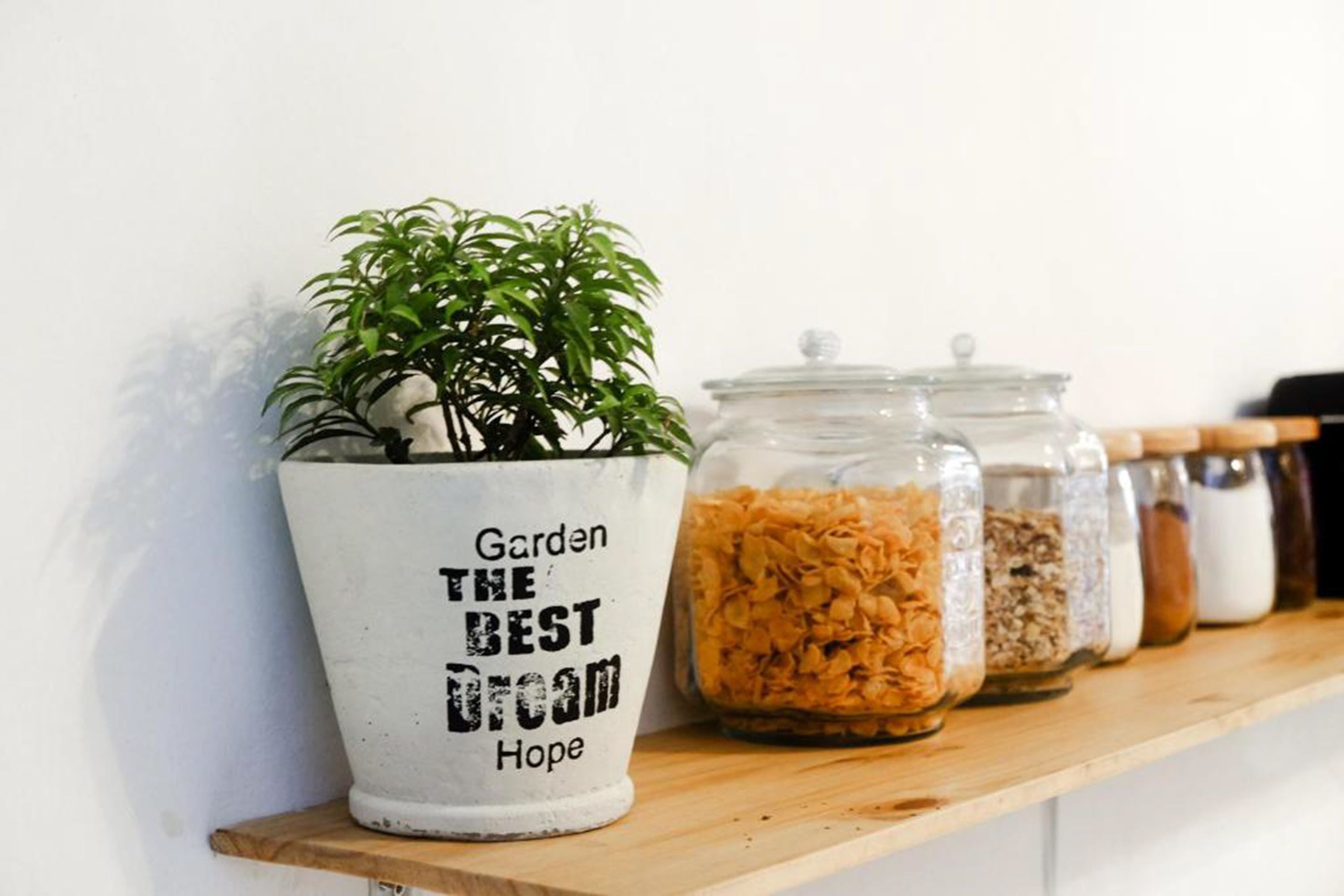 A potted plant in a white pot with the text "Garden The Best Dream Hope" on a wooden shelf.